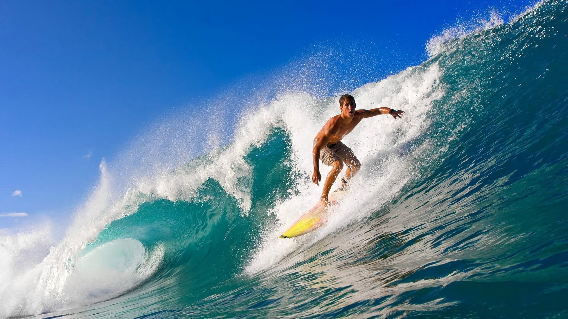 范弗利特时刻，开拓者上演逆转，冷血刺客接管季后赛舞台